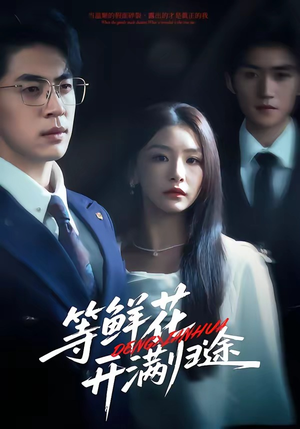 等鲜花开满归途（61集）这部短剧我爱了推荐平台