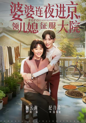 婆婆连夜进京，领儿媳征服大院（78集）全网短剧抢先看全集