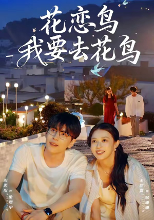 花恋鸟我要去花鸟（60集）免费观看最新短剧全集