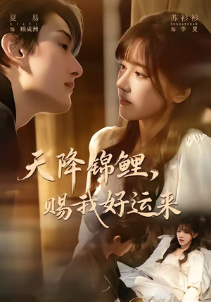 天降锦鲤，赐我好运来（60集）免费看全网短剧