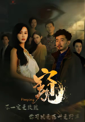 窥＆窥伺（37集）热门短剧好看又上头