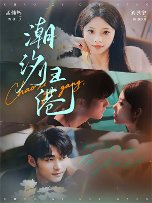 潮汐归港（66集）每天分享精彩短剧