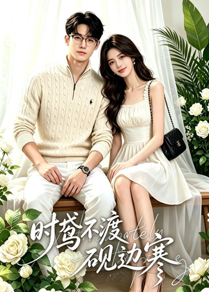 时鸢不渡砚边寒（41集）百度网盘在线看短剧