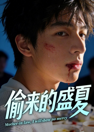 偷来的盛夏（40集）在哪个平台能看短剧