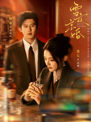雪夜京婚（84集）免费短剧在线看全集