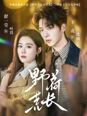 野荷荒长（86集）一口气看完了整部短剧