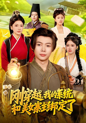刚穿越，我的系统和美女寨主绑定了（98集）番茄小说短剧免费看