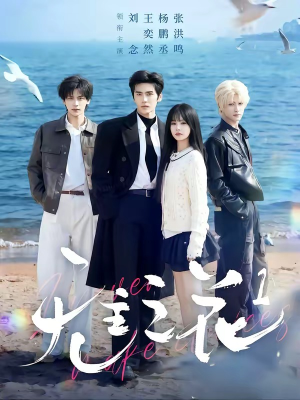 无主之花1（72集）无广告畅享短剧视觉盛宴