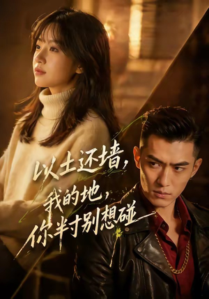以土还墙，我的地，你半寸别想碰（56集）全集免费看短剧