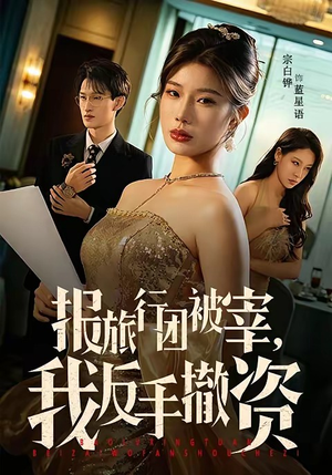 报旅行团被宰，我反手撤资（59集）免费观看最新热门短剧全集