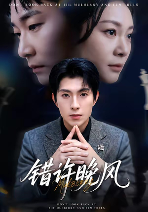 错许晚风（60集）经典回顾短剧免费看