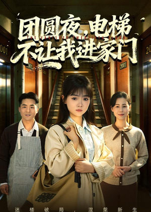 团圆夜，电梯不让我进家门（52集）我全都看完了的经典短剧