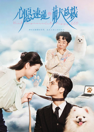 心愿速递之萌犬总裁（50集）短剧终篇全集限免看