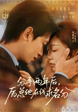 分手两年后，厉总他在线求名分（70集）追短剧太上头了