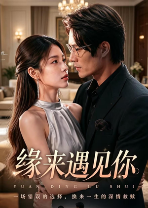 缘来遇见你（29集）热门短剧排行榜