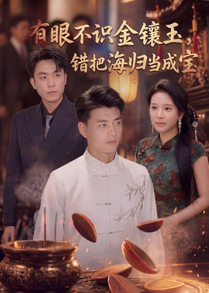 有眼不识金镶玉错把海归当成宝（80集）红果免费短剧免费看全集