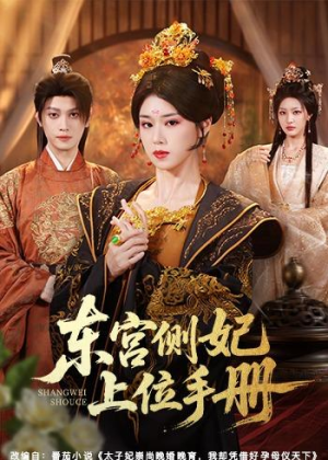东宫侧妃上位手册（61集）最火短剧火出新年味