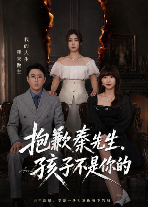 抱歉秦先生，孩子不是你的（53集）火热短剧正在热播
