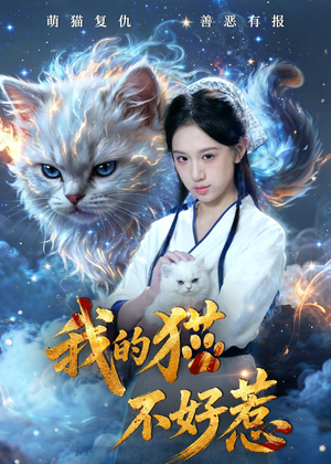 我的猫不好惹（42集）一口气看到热门短剧大结局