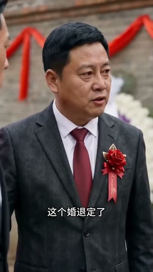双喜再临门（56集）红果天天免费看短剧