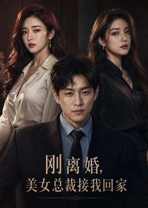刚离婚，美女总裁接我回家（40集）随时随地想看就看短剧