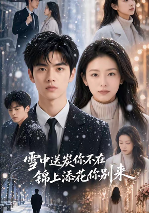 雪中送炭你不在，锦上添花你别来（60集）短剧热播精彩片段