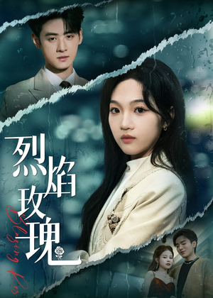烈焰玫瑰（37集）全集短剧免费观影无压力