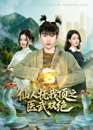 仙人抚我顶之医武双绝（66集）零成本看完的短剧集合