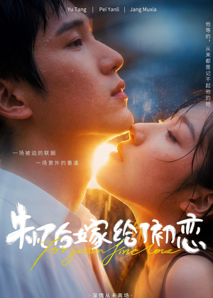 失忆后嫁给了初恋（10集）短剧推荐正在热播
