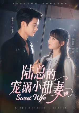 陆总的宠溺小甜妻（61集）短剧全集高清无码版