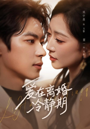 爱在离婚冷静期（73集）免费的短剧资源汇总