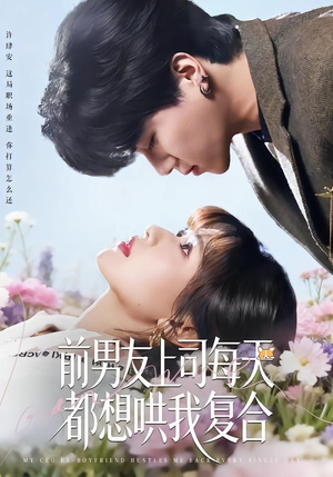 前男友上司每天都想哄我复合（77集）短剧大结局全集解锁