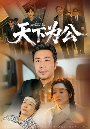 天下为公（58集）红果免费短剧看全集