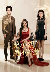 桑小姐她不好惹（103集）高清画质短剧免费看