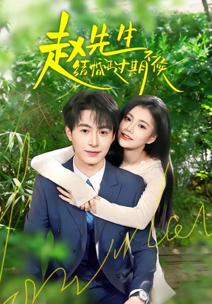 赵先生结婚证过期不候（50集）红果免费短剧免费看全集
