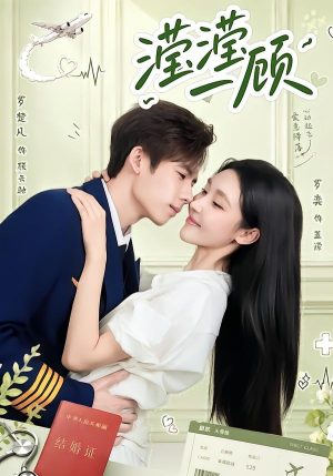 滢滢一顾（70集）红果短剧免费看全集