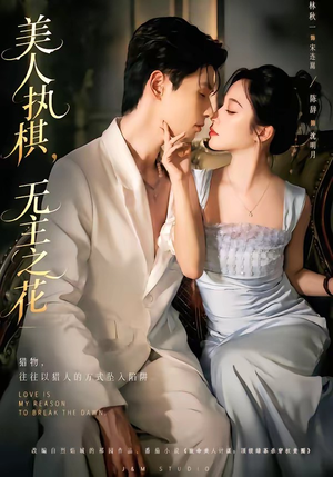 美人执棋，无主之花（65集）好看又上头的短剧一起来追剧