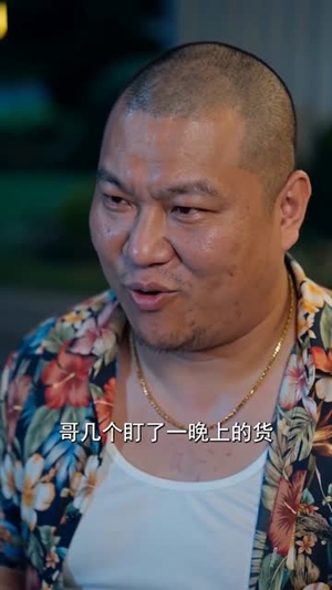 隐龙归来江湖荡（70集）排行榜前十短剧免费看