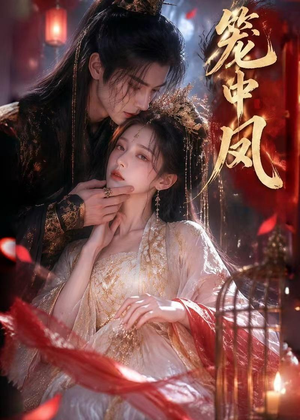 笼中凤（44集）全部免费看全集短剧