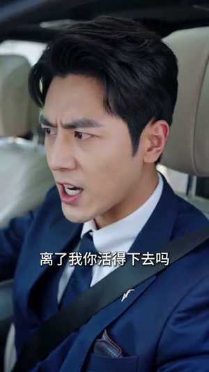 晚星不照旧人归（32集）红果短剧免费看全集