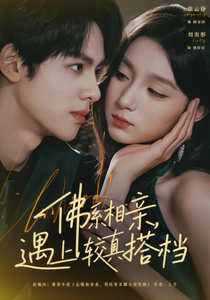 佛系相亲，遇上较真搭档（91集）熬夜必追完的热门短剧