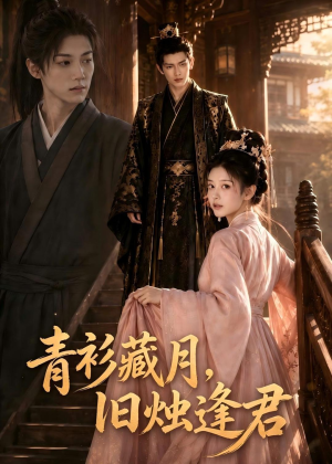 青衫藏月，旧烛逢君（56集）精彩短剧天天更新