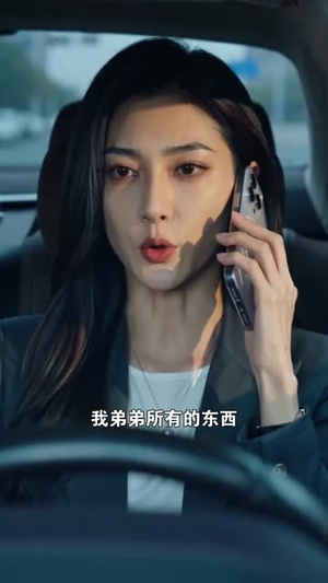 上司侵占弟弟车辆我依法维权（35集）短剧限免全集任你点